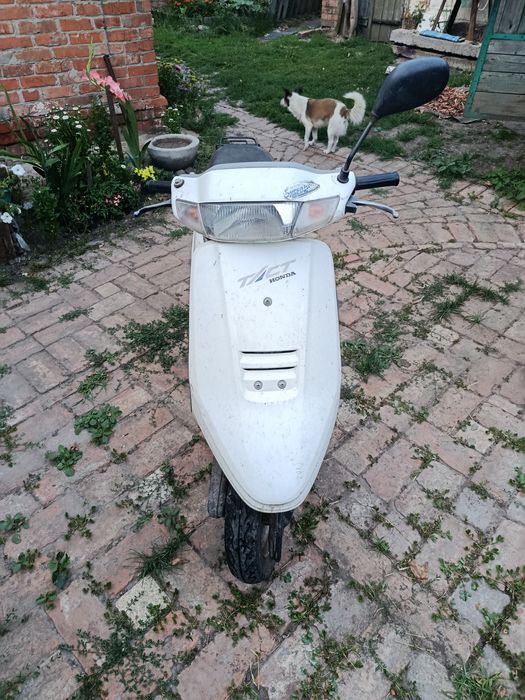 Скутер Honda Такт 24