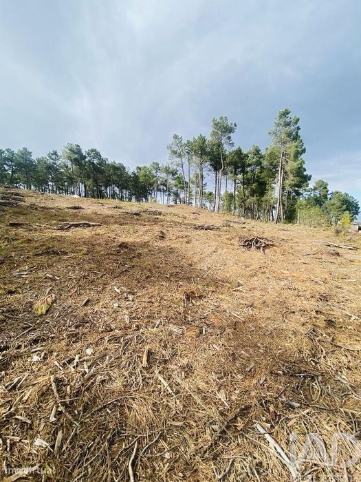 Terreno para construção em Mouçós e Lamares de 3484,00 m2