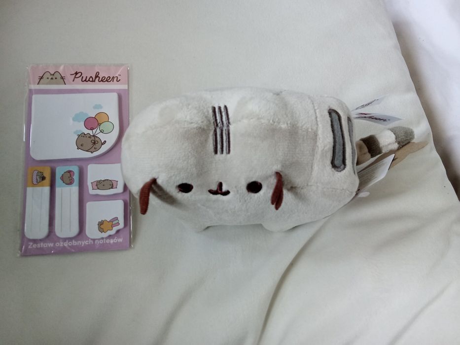 Maskotka Pusheen
