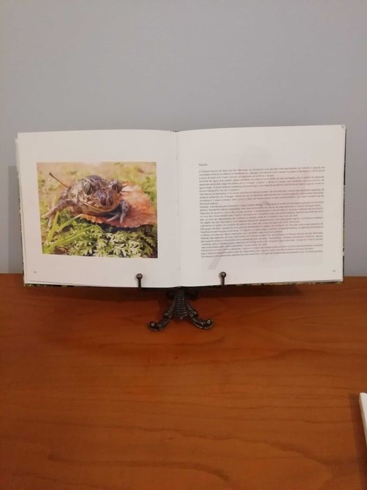 Suporte de pratos ou livros