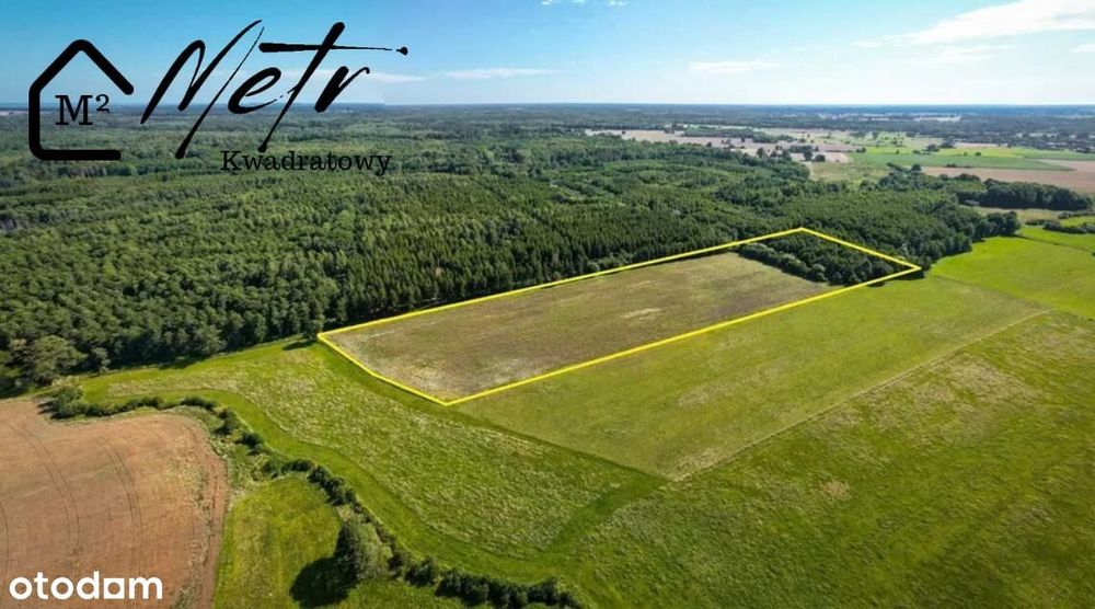 Działka rolna 2,84 ha z lasem – Krzywiec, gmina Frombork