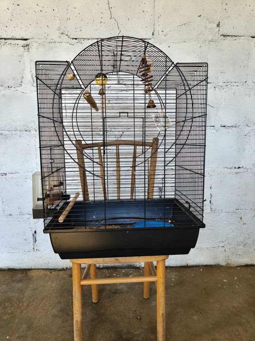 Klatka dla ptaków 73 cm – dla papug falistych + wyposażenie