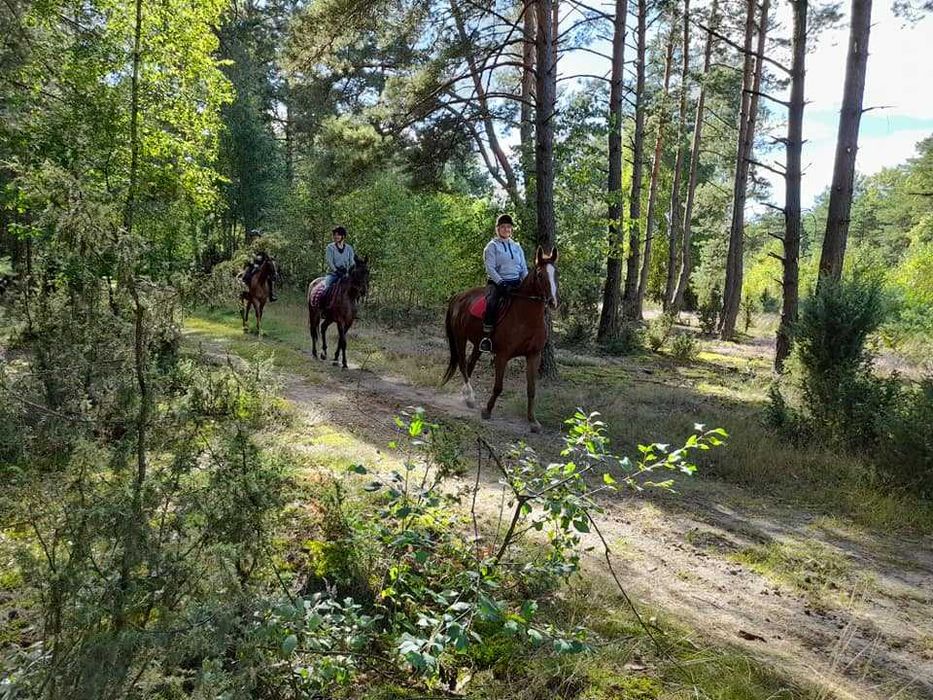 Noclegi pokoje Agroturystyka