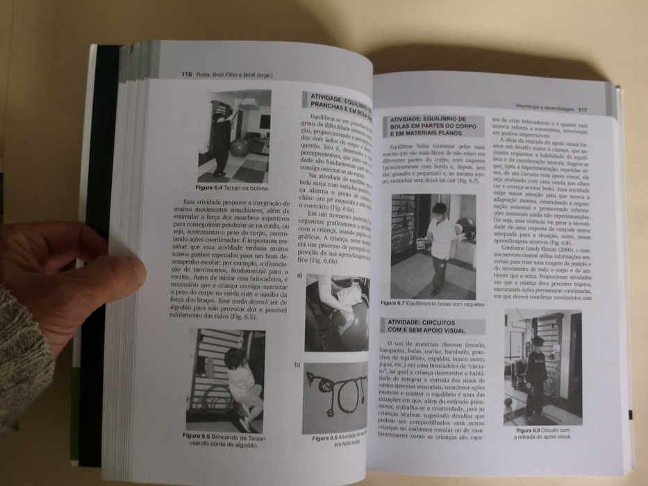 Neurologia e Aprendizagem
de Newra Tellechea Rotta