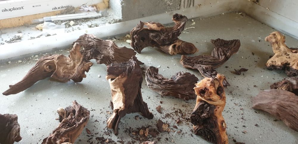 Korzeń akwarystyczny terrarium mangrowiec