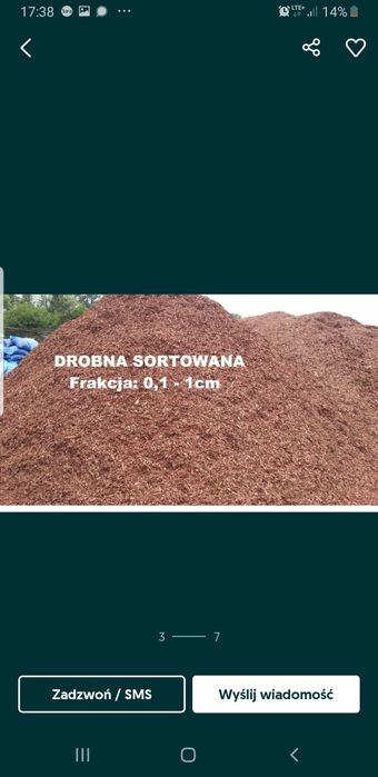 Kora Sosnowa Śląskie