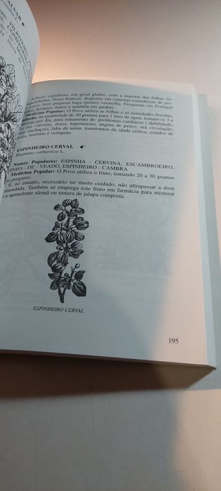 Medicina Popular Tratamento pelas Plantas Medicinais (1999)