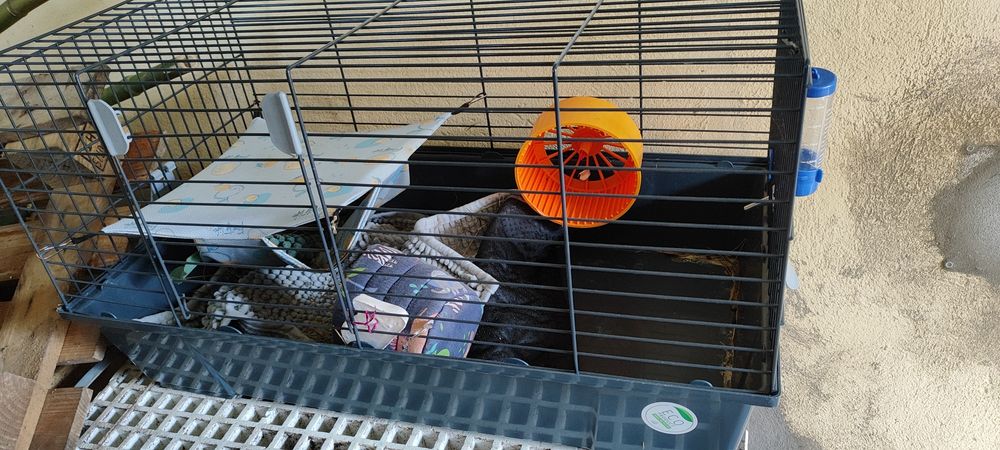 Gaiola/ casota para porco da Índia ou hamster