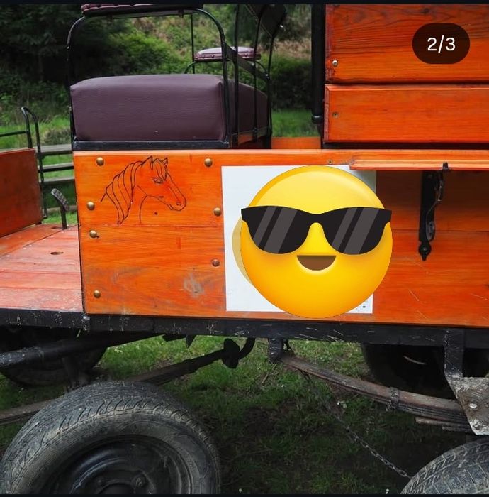 Vendo charrete praticamente nova