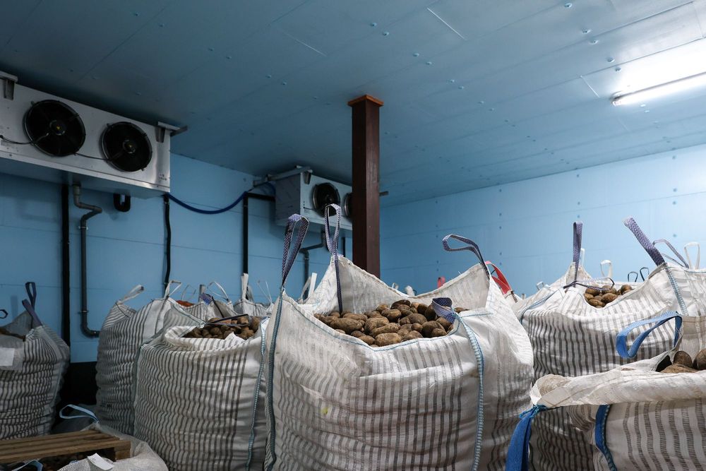 Izolacja Ocieplenie Dachu Ścian Sufitu Stropu Płyta STYRODUR XPS AGRO