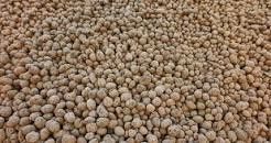 Керамзит изоляционный б/у 40 грн. за ведро всего 5 куб. м)