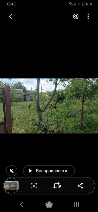 дача дачный участок 10 сот чернигов  ст квитневе озеро лес пов халявин