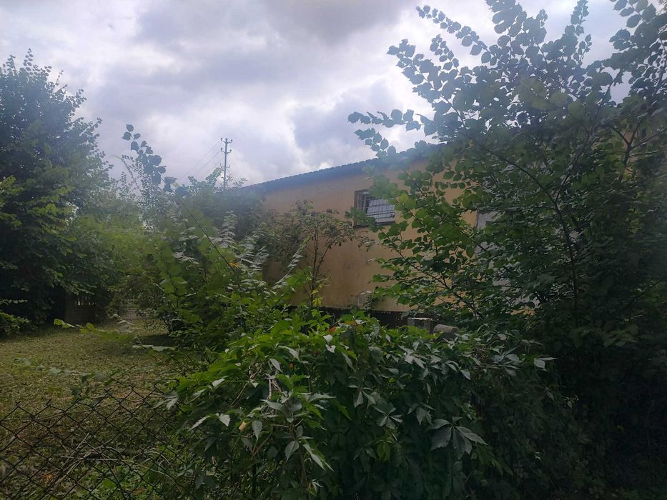 Zdjęcie 4