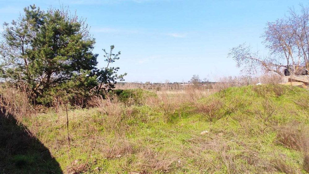 Продається ділянка 25 сот. у с. Нижча Дубечня, Вишгородського району