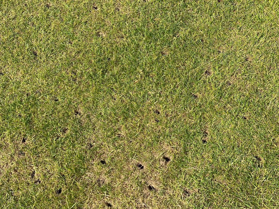 Aeracja Rurkowa-Piaskowanie...