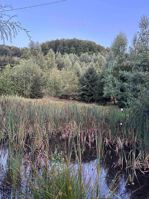 Продається будинок в с. Нересниця