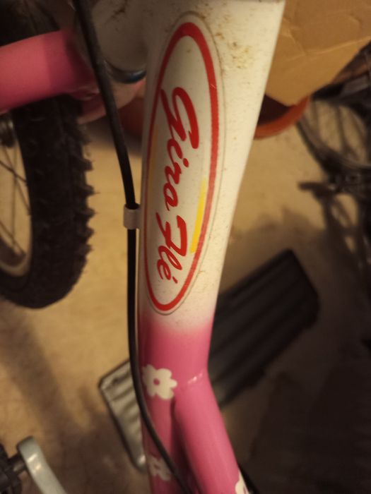 Bicicleta menina 4-6 anos