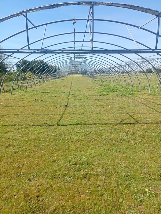 Estufas agrícolas metálicas