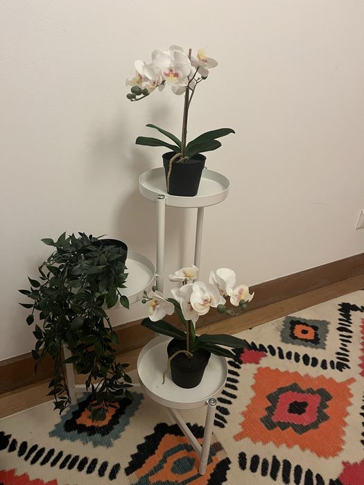 Estante de flores +
