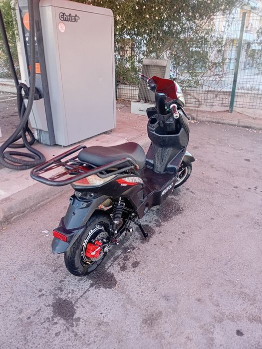 Mota eléctrica nevolt 250W