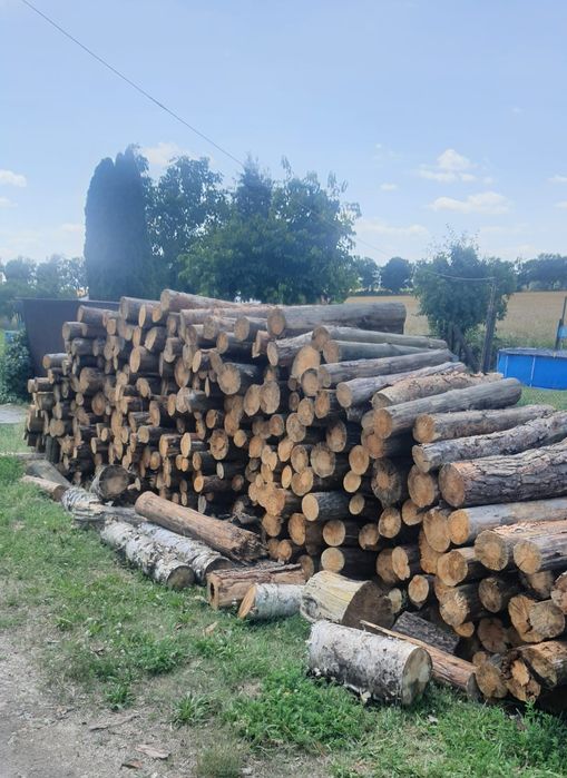 Drewno opałowe sosnowe