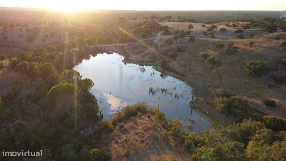 Refúgio Ideal no Alentejo: Investimento único com Potencial Agrícola e