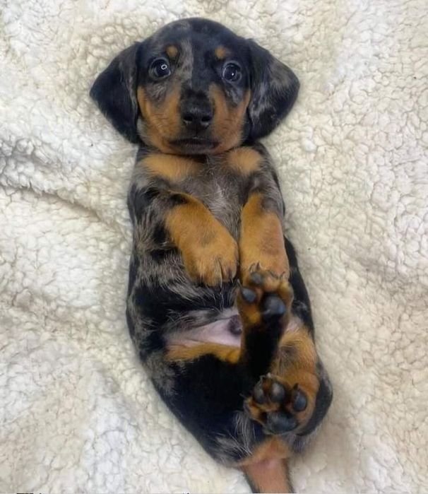 Неповторні  хлопчики і дівчатка