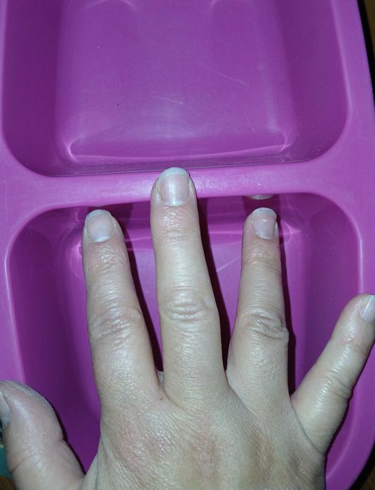 Taça cão comida/bebida