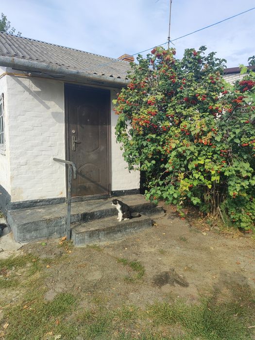 Частина будинку в с.Матюші