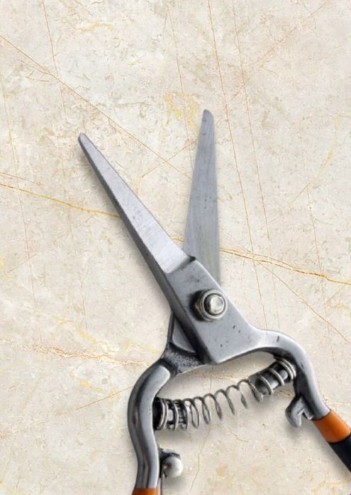 Sekator Ogrodowy Nożyce do Krzewów Gałęzi Kwiatów BRADAS 8"