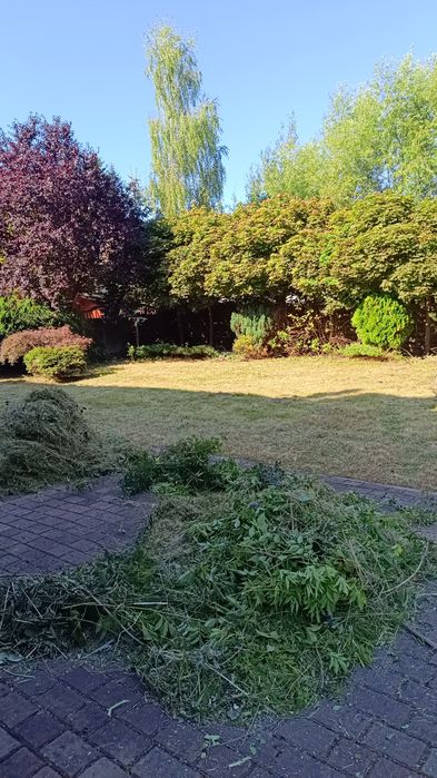 Usługi Ogrodnicze Koszenie traw Działek Ogrodów Przycinanie Tuji