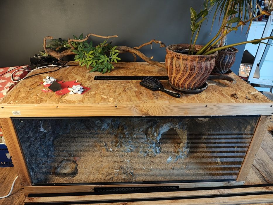 Duże, solidne terrarium