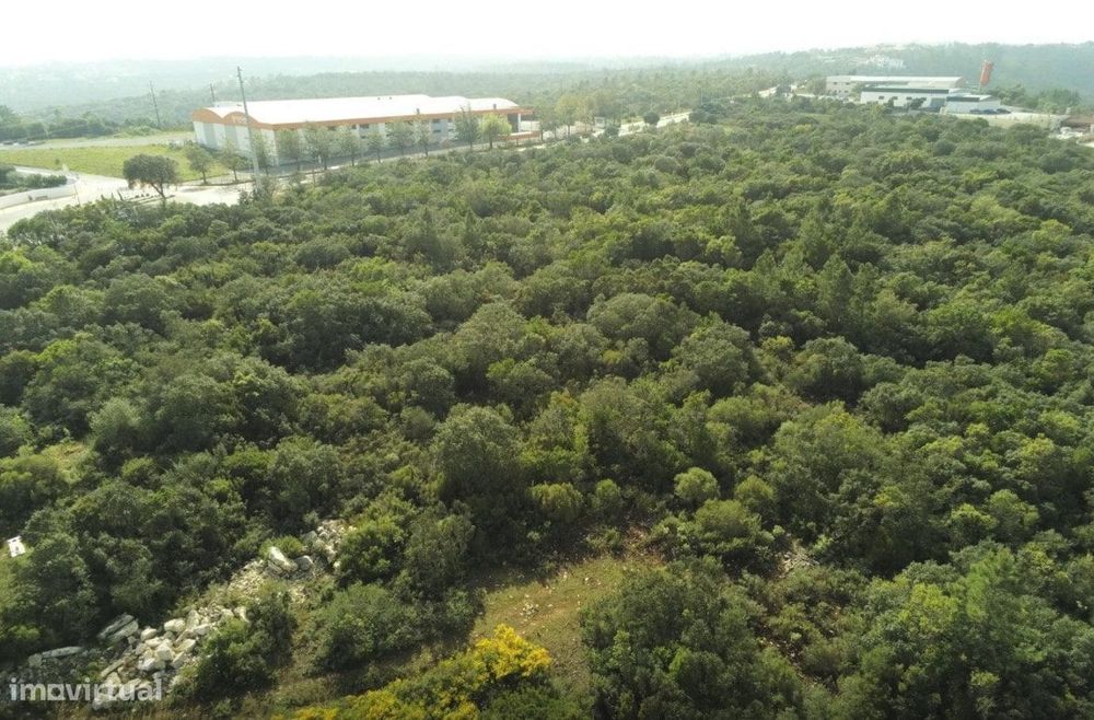 Terreno Rústico na preferia da fantástica Cidade de Fátima