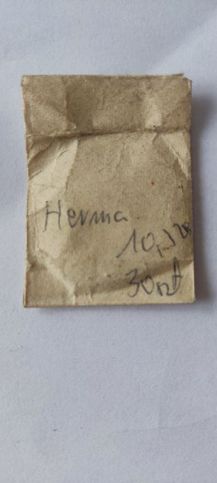 Oś balansu mechanizmu zegarka Herma