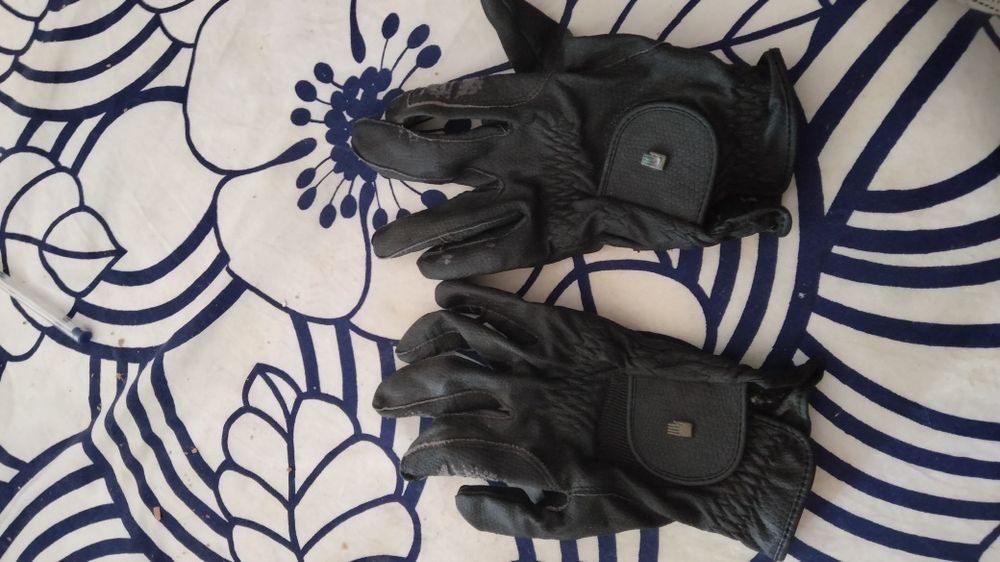 Conjunto para equitação