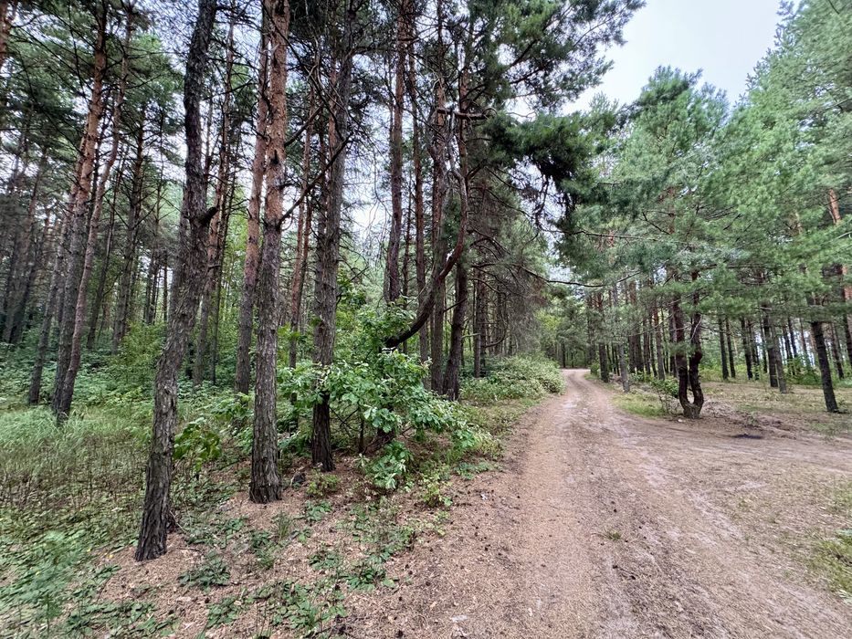 Продаж ділянки від 40 соток до 10Га. с. Ясногородка Киівська область