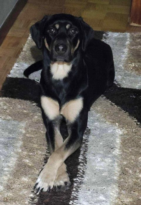 Mama e bebe para adopção responsável