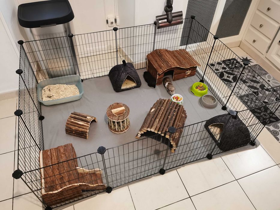 Klatka dla gryzoni królików świnki morskiej psa kota NOWA modułowa