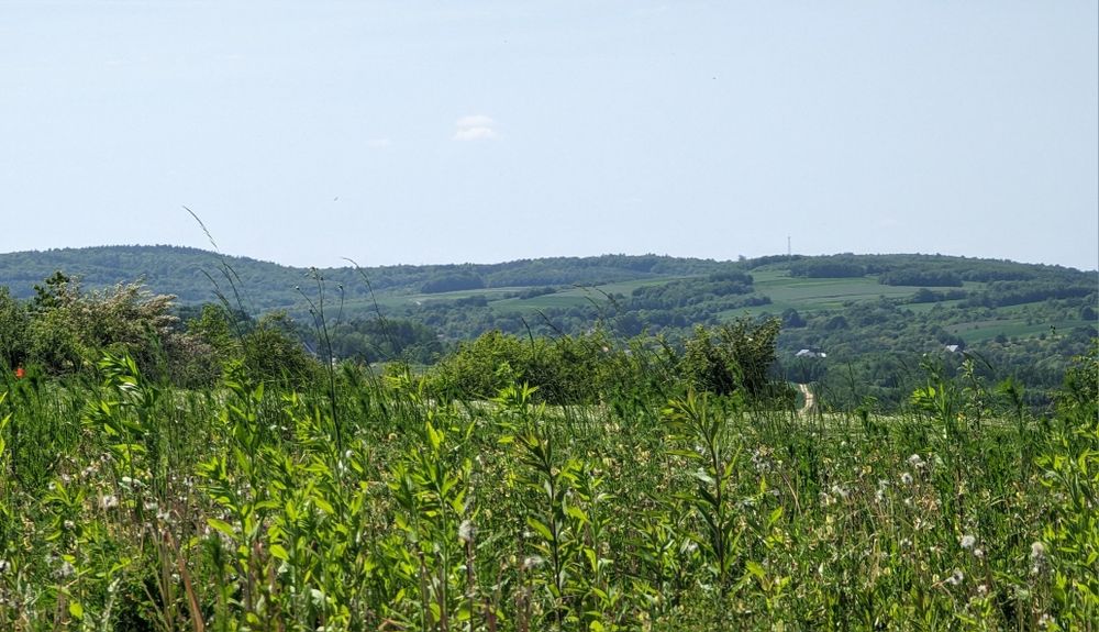 Piękna budowlana działka widokowa w Pruchniku - Widok 5