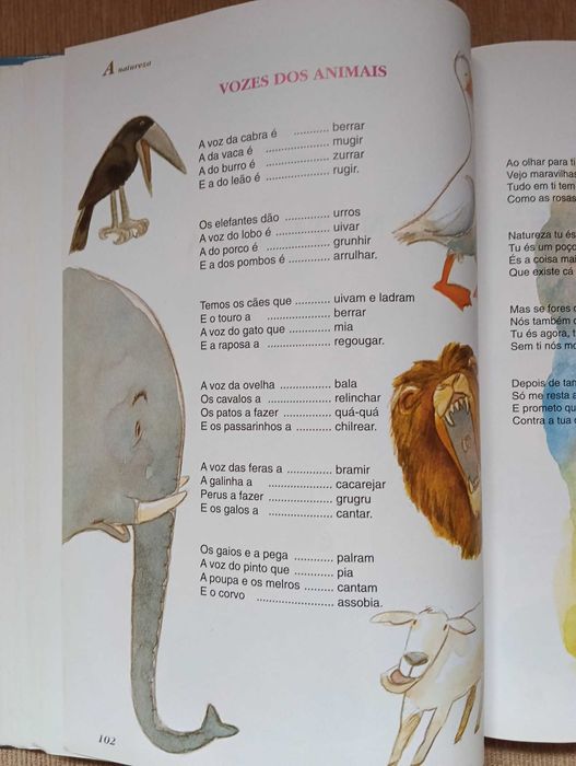 Livro "Os Avós e os Netos (não os separem)" – Augusto Pinto – Capa Dura