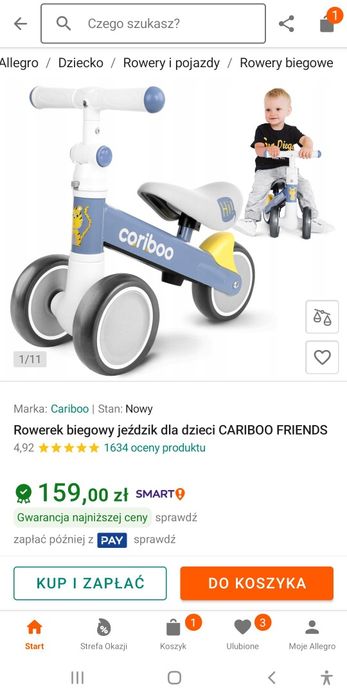 Rowerek Cariboo dla dziecka