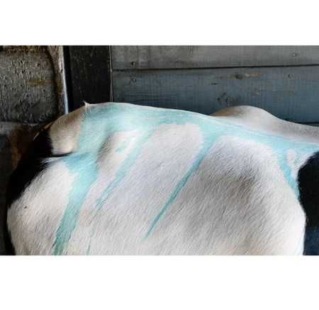 Płyn preparat owadobójczy ASEKOR FLY 1000ML NIEBIESKI