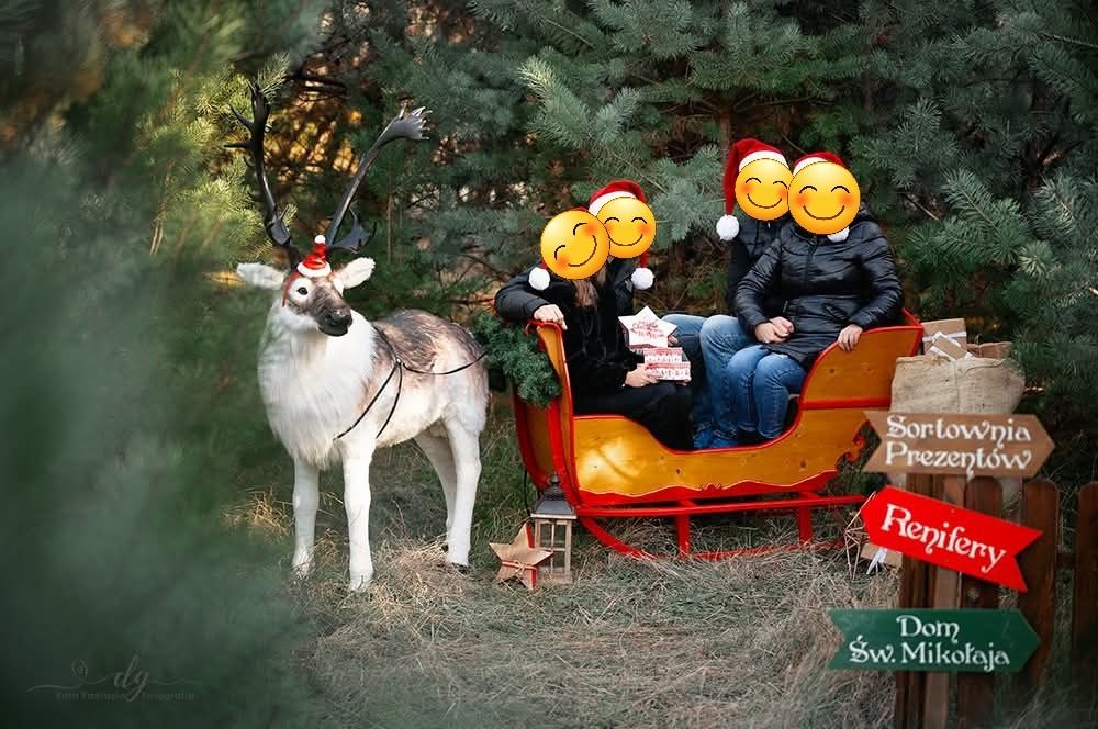 Piękne sanie drewniane