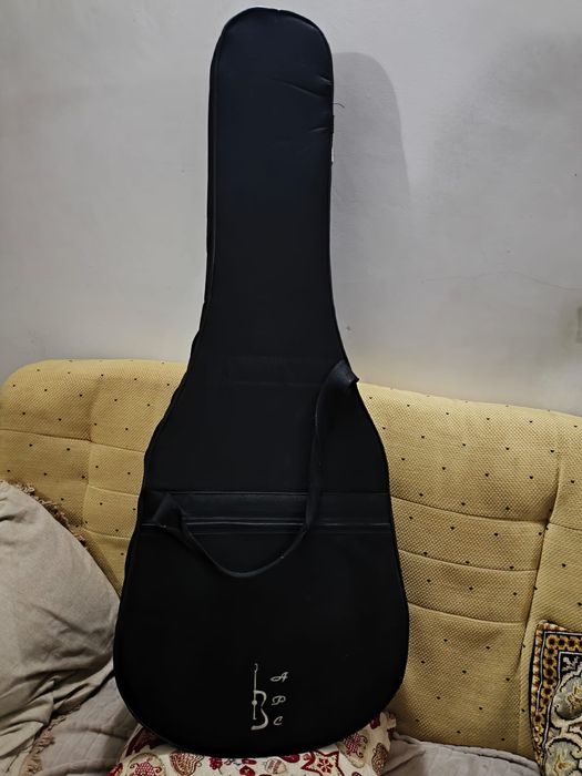 Guitarra APC Antonio Carvalho modelo 506