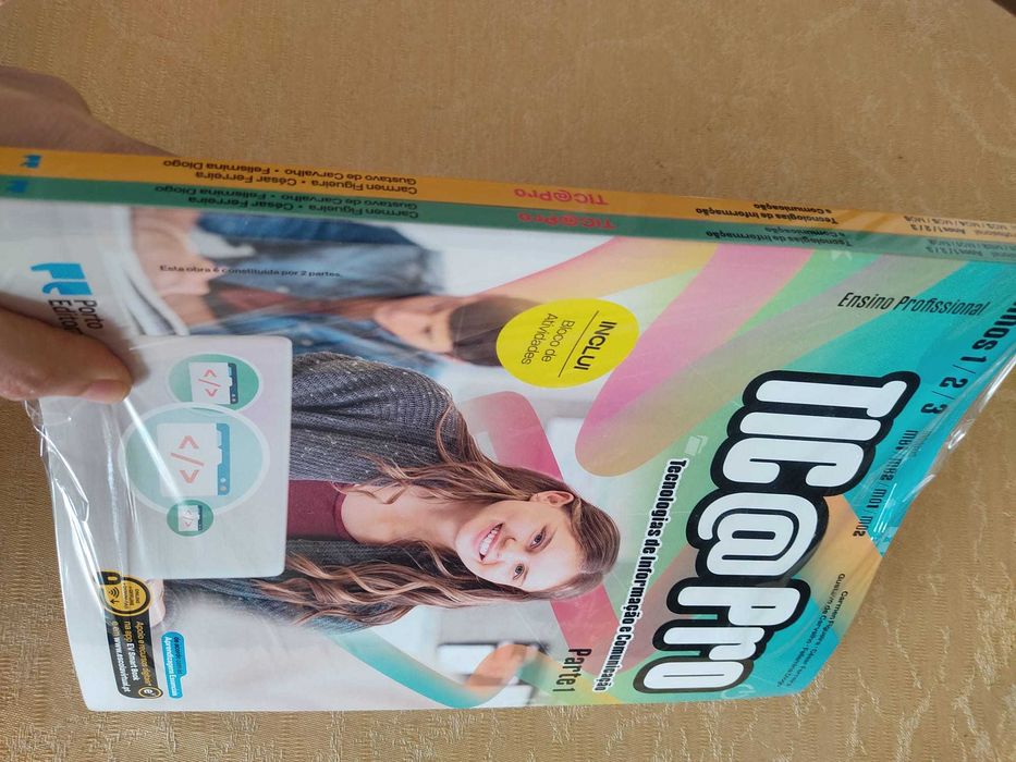TICaPro - Tecnologias de Informação   Ensino Profissional (NOVO)