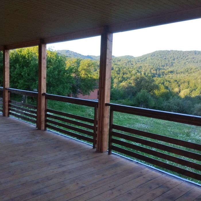 Будинок у карпатах