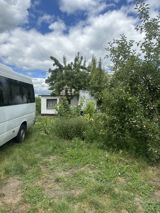 Продам будинок в Малій Вільшанці