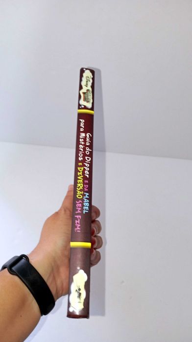 Guia do Dipper e da Mabel para Mistérios - Gravity Falls