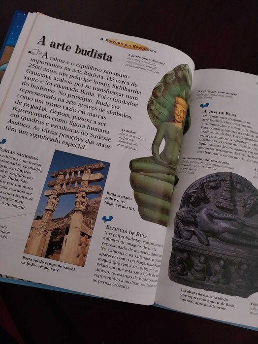 A Pintura e a Escultura (livro didático), Disney