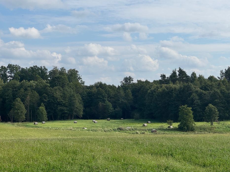 Zdjęcie 4